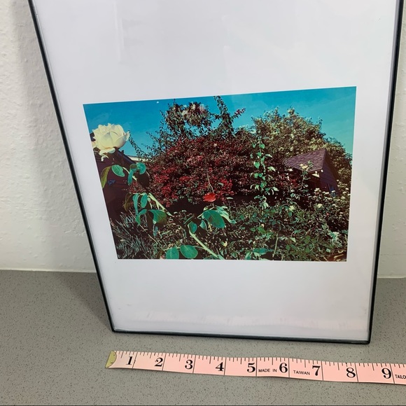 Lovely Star Original Photography Print - Picture 10 of 10